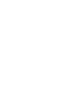 National Information Technology Board logo
